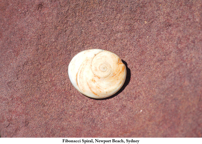 Fibonacci_spiral_Newport_beach_Sydney